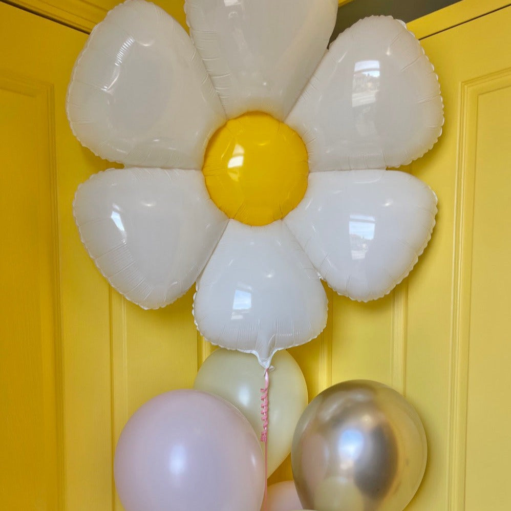 Daisy and 6 latex balloons
