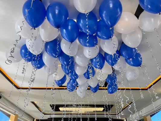 50 Ceiling Balloons